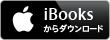 ibooks電子書籍 「Articulate Storyline基本編」